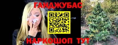 индика Анапа