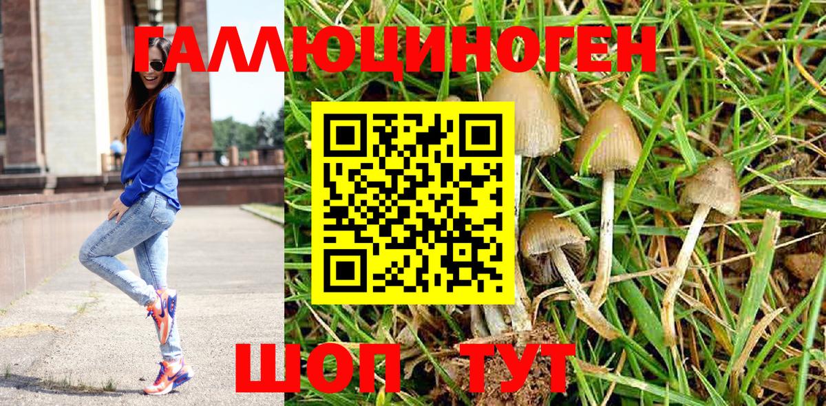 Галлюциногенные грибы Psilocybe  Вход с VPN  даркнет сайт  Ачинск  Псилоцибиновые грибы MAGIC MUSHROOMS 